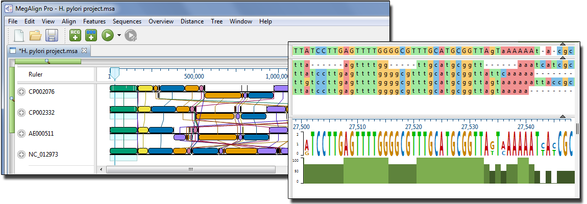 Editseq