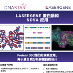 Lasergene Protein Overview (ZH)